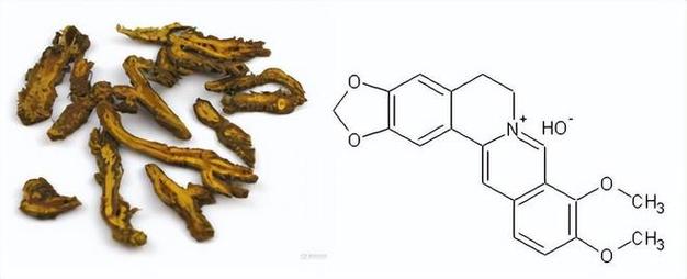 霜雪无惧 低温下依然高效的青苔防治植物源杀菌剂