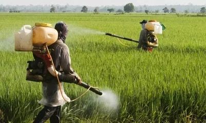 绿色植保新视野 有机农药、生物农药与低毒农药的深度解析